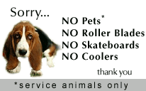No pets